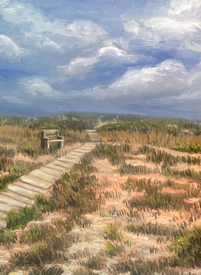 A Path to the beach. 20x16x1 1/8&quot; oil on canvas. Available. 2024