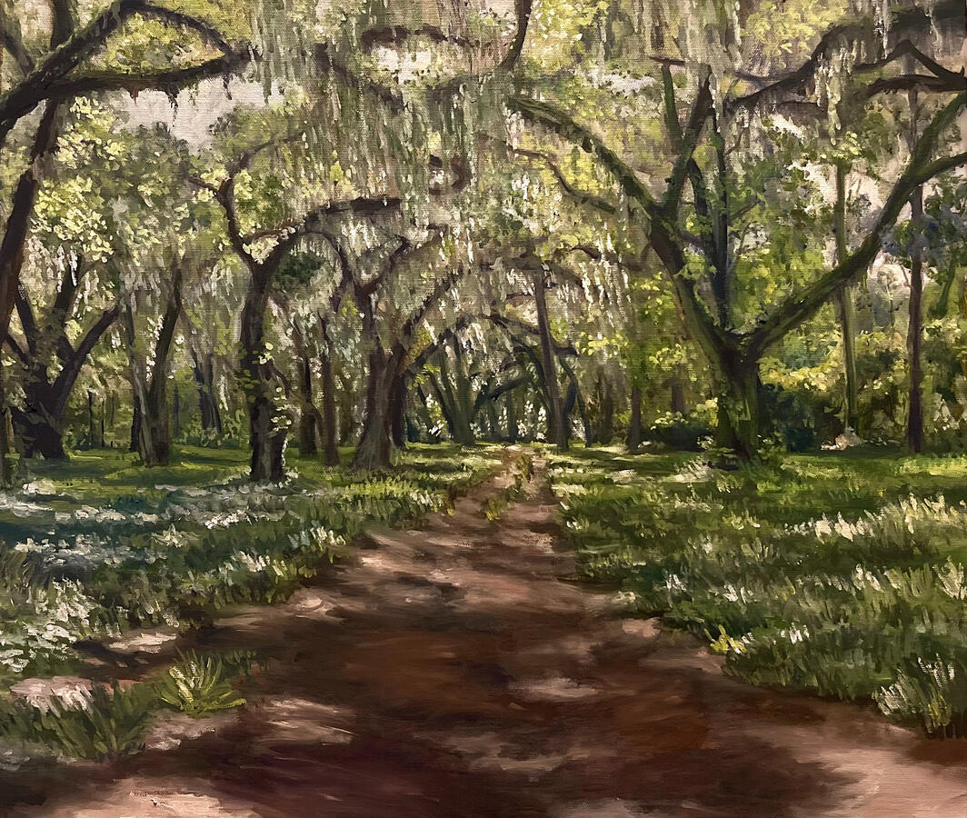 Under the Spanish Moss. 18x24x1 1/8&quot; Oil on canvas. Unvailable. 2024