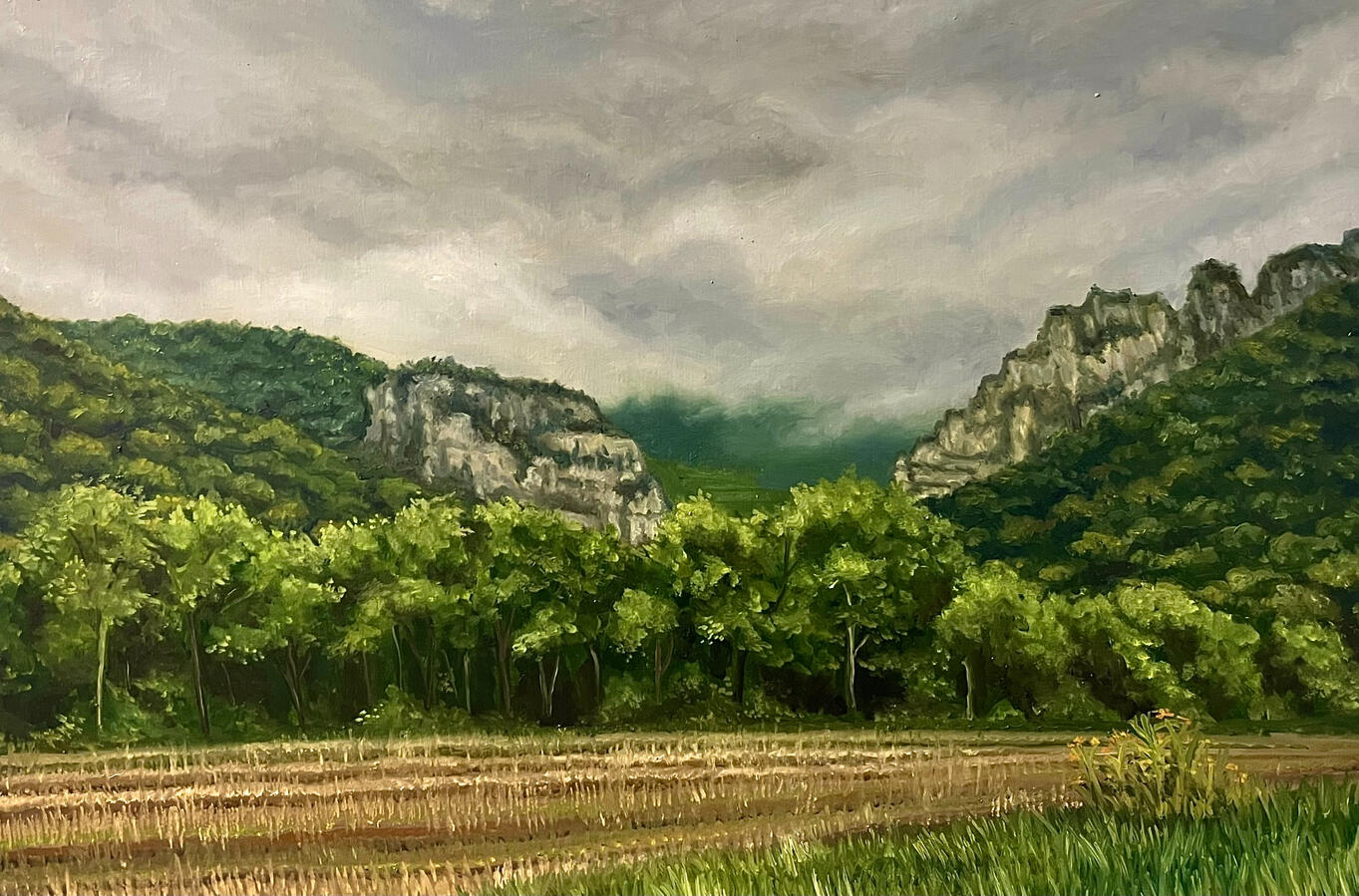 Veil of the Mountains, 24x36x2" oil on canvas. Available. 2024.