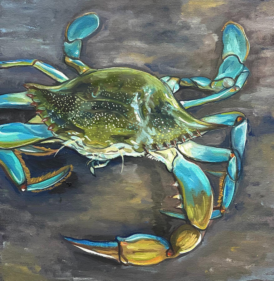 Blue Crab. 20x20x1 1/18&quot; 36x36x2&quot; oil on canvas. Unavailable. 2023