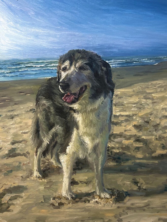 Scout. 18x24" oil on canvas. Unavailable. 2023.