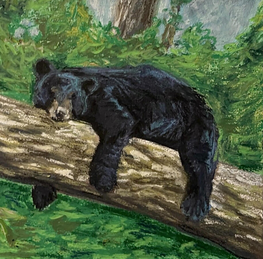 Lazy Bear. 10x10x1 oil on canvas. Available. 2024