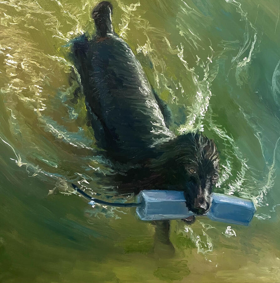 Bumper Training with Patsy. 20x20x1 1/8&quot; oil on canvas. Available. 2024