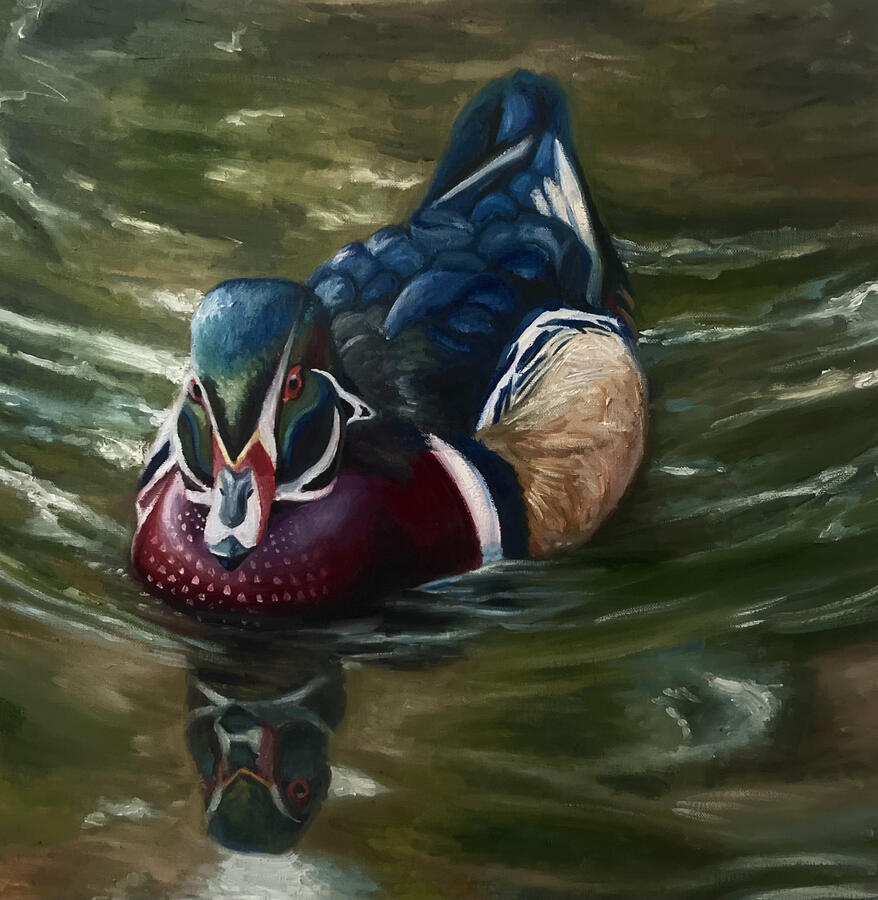 Wood Drake, 20x20x1 1/8&quot; oil on canvas. Unvailable. 2024