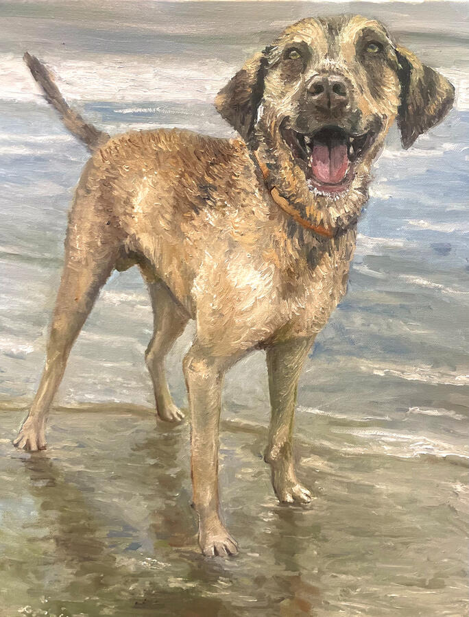 Scout, 14x18x1 1/2&quot; oil on canvas. Unavailable. 2024