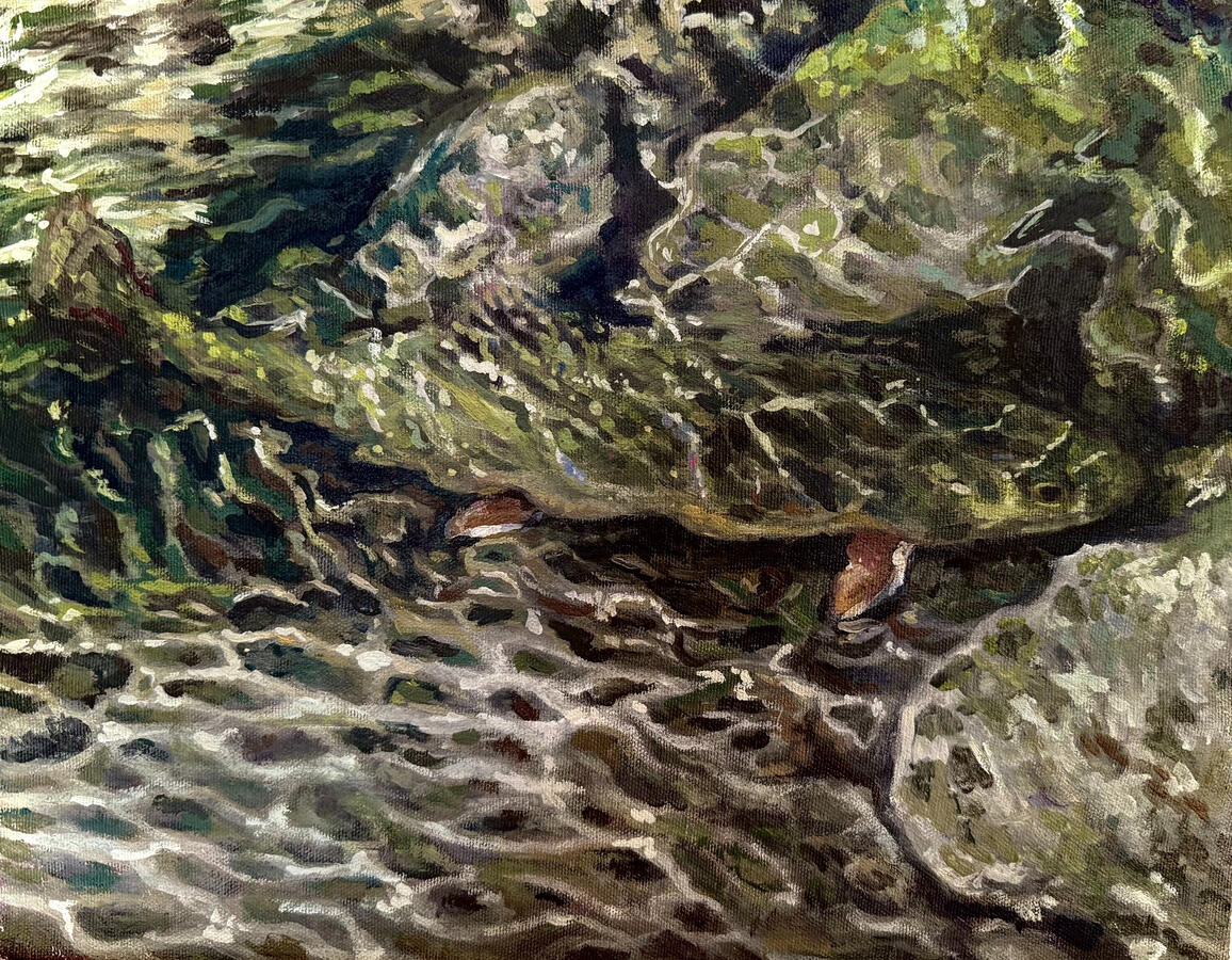 Forms in Flow, oil on canvas, 2025. Available