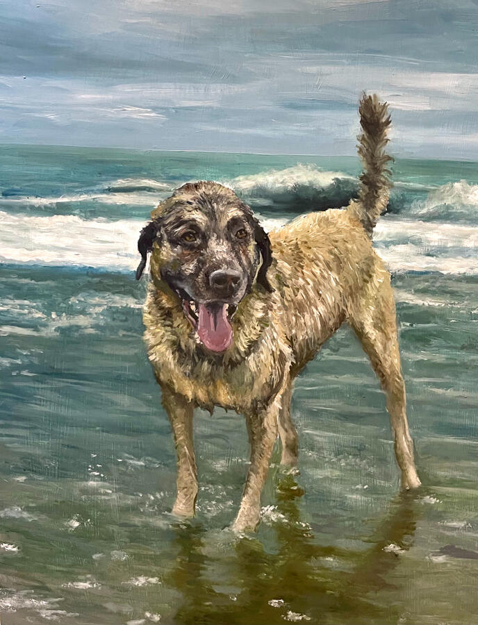 Rebel, 16x20x1 1/2" oil on wooden panel. Unavailable. 2024